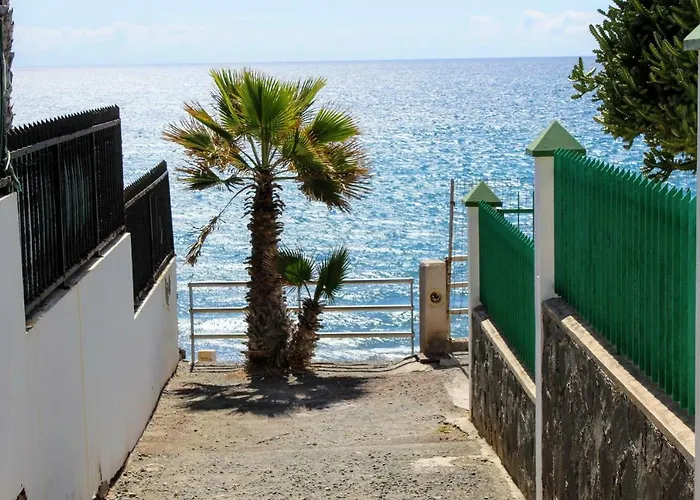 Bougainvillea Bamira Maspalomas (Gran Canaria)